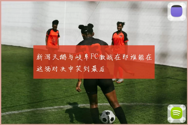 新泻天鹅与岐阜FC激战在即谁能在这场对决中笑到最后