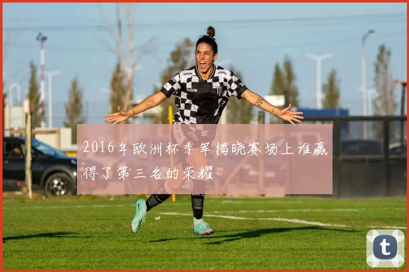 2016年欧洲杯季军揭晓赛场上谁赢得了第三名的荣耀