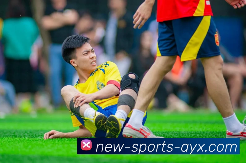 爱游戏平台生态图